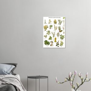 de7815ee-f2d7-47c2-9b91-7bdc525e57c9