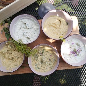 Nabiralniška delavnica: od sprehoda v naravi do obroka